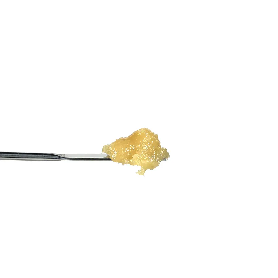 Purple Punch THCa Badder