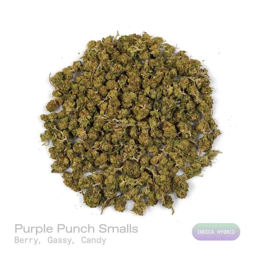 Purple Punch THCa Flower (Indoor) (Indica Hybrid)