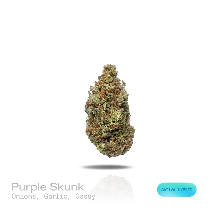Purple Skunk THCa Flower (Indoor) (Sativa Hybrid)