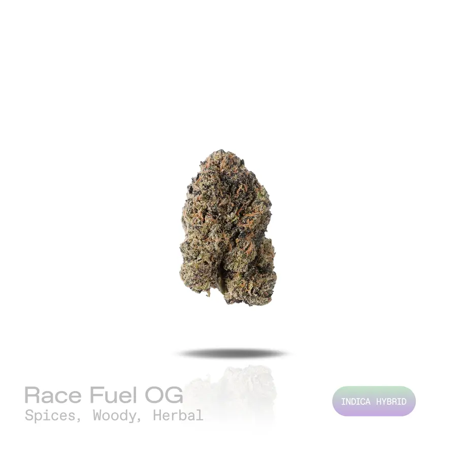 Race Fuel OG THCa Flower (Exotic) (Indica Hybrid)