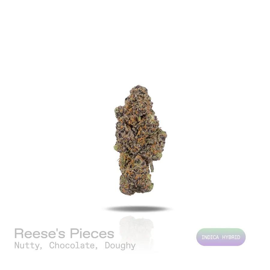 Reese's Pieces THCa Flower (Indoor) (Indica Hybrid)