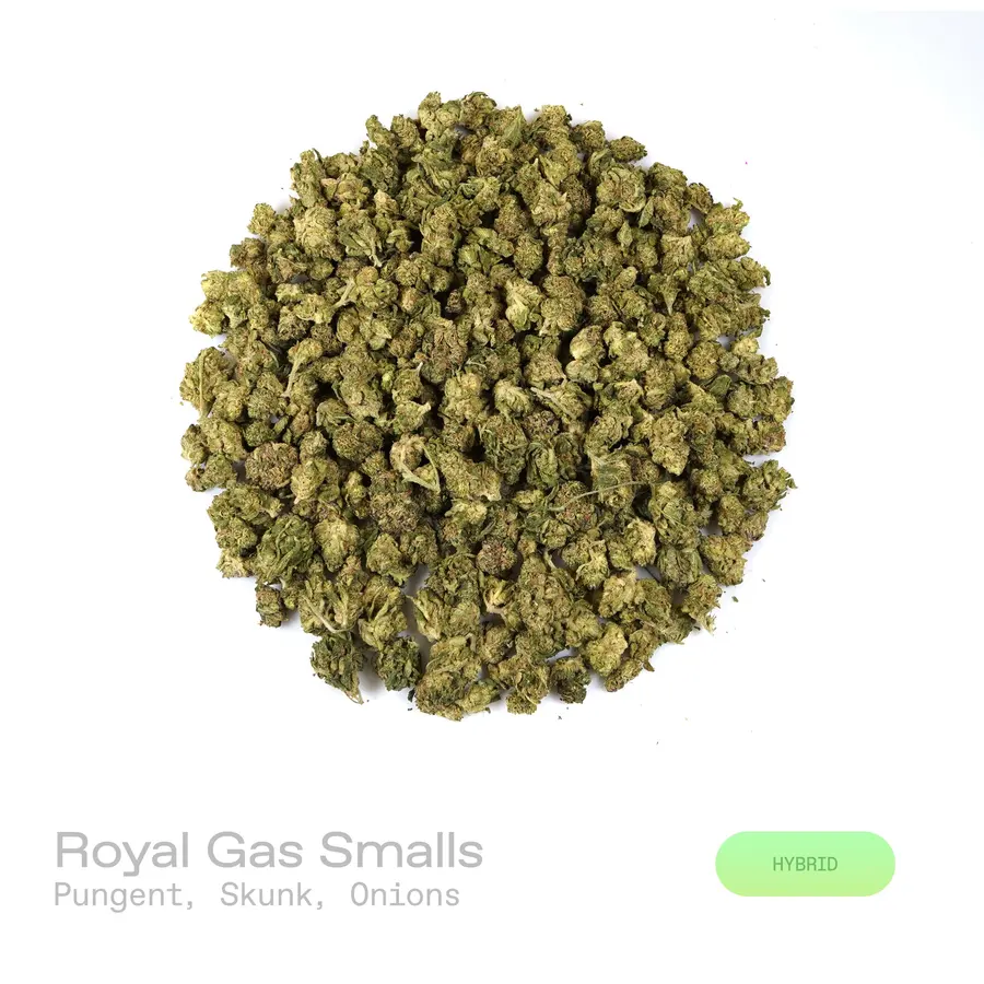 Royal Gas THCa Flower (Indoor) (Hybrid)