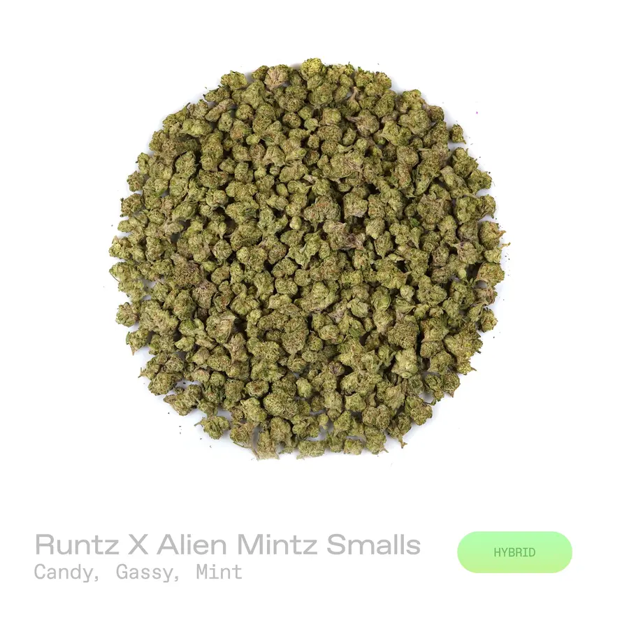 Runtz X Alien Mintz THCa Flower (Exotic) (Hybrid)