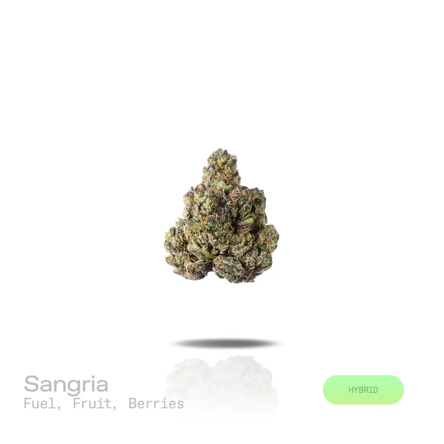 Sangria THCa Flower (Premium Indoor) (Hybrid)