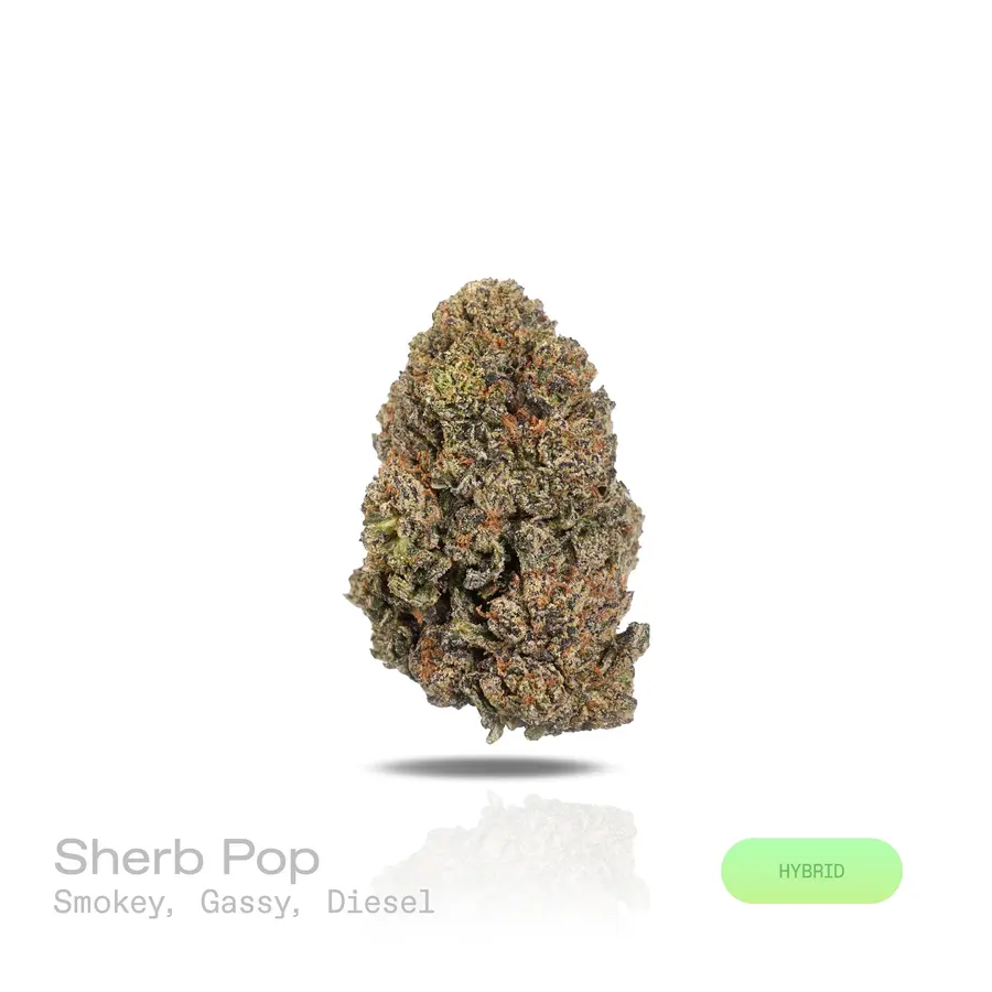 Sherb Pop THCa Flower (Indoor) (Hybrid)