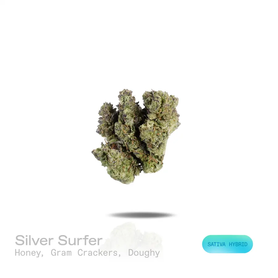 Silver Surfer THCa Flower (Indoor) (Sativa Hybrid)