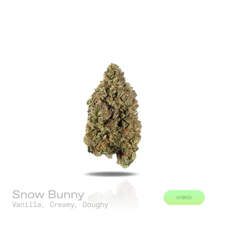 Snow Bunny THCa Flower (Indoor) (Hybrid)