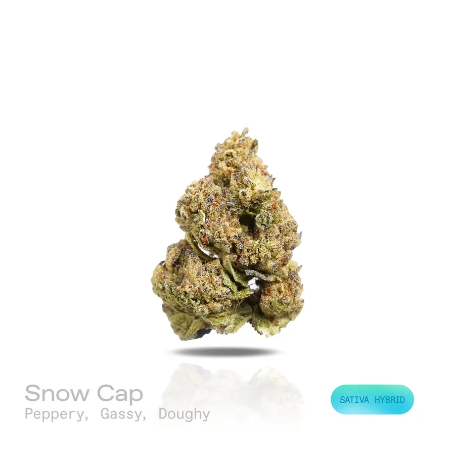 Snow Cap THCa Flower (Indoor) (Sativa Hybrid)