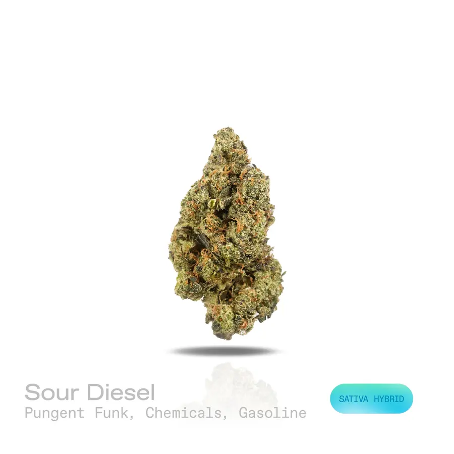 Sour Diesel THCa Flower (Exotic) (Sativa Hybrid)