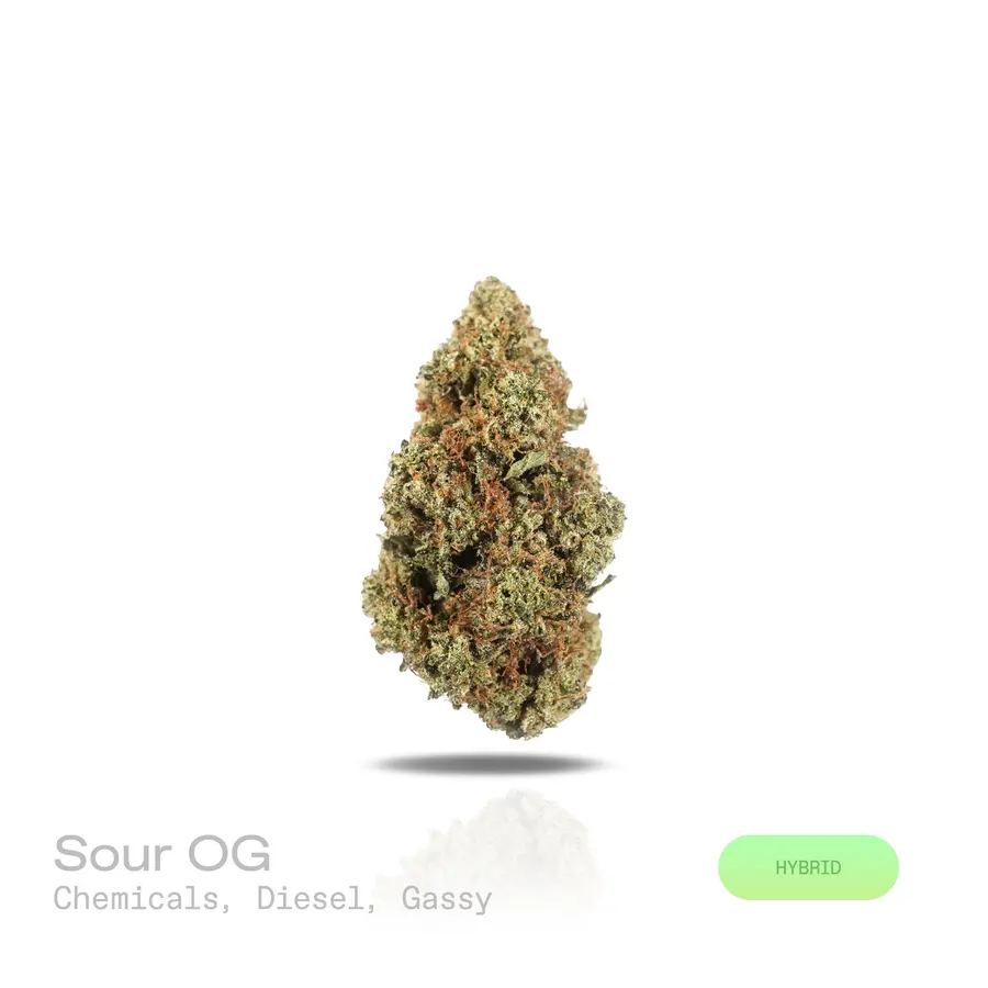 Sour OG THCa Flower (Premium Indoor) (Hybrid)