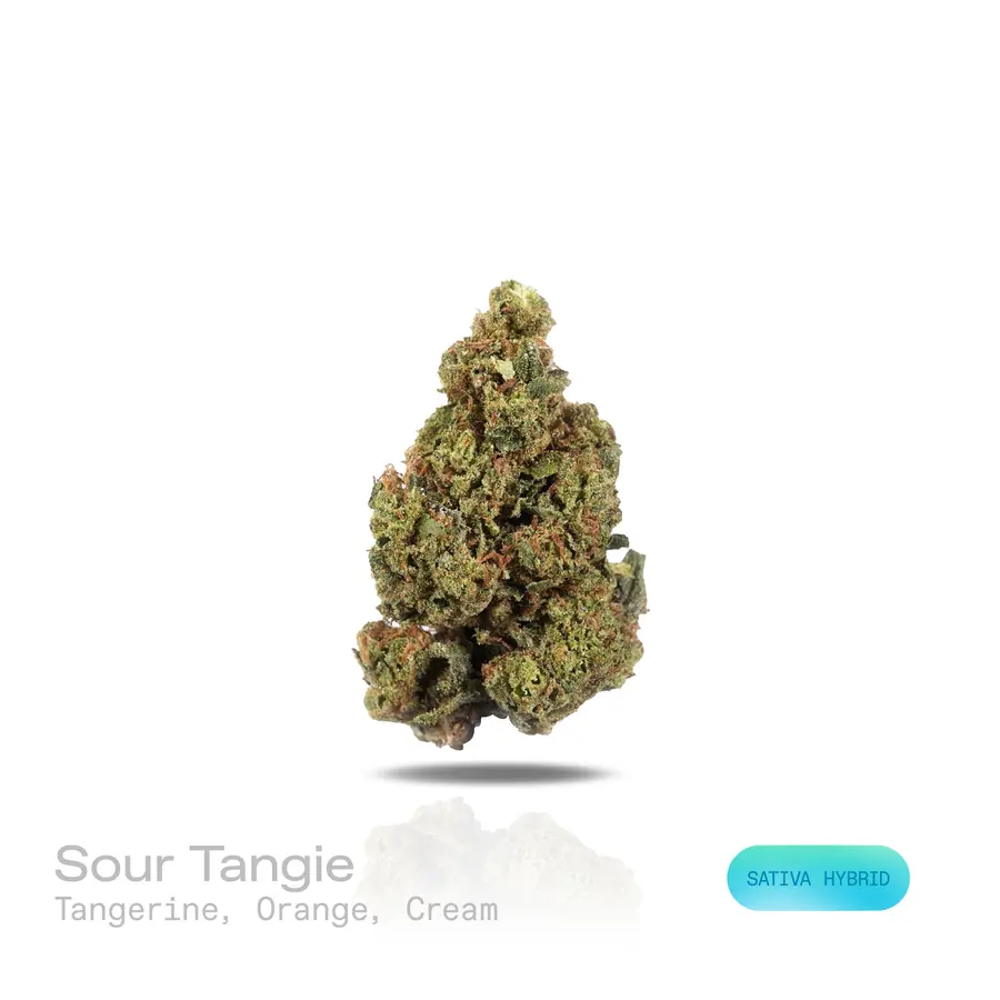 Sour Tangie THCa Flower (Indoor) (Sativa Hybrid)