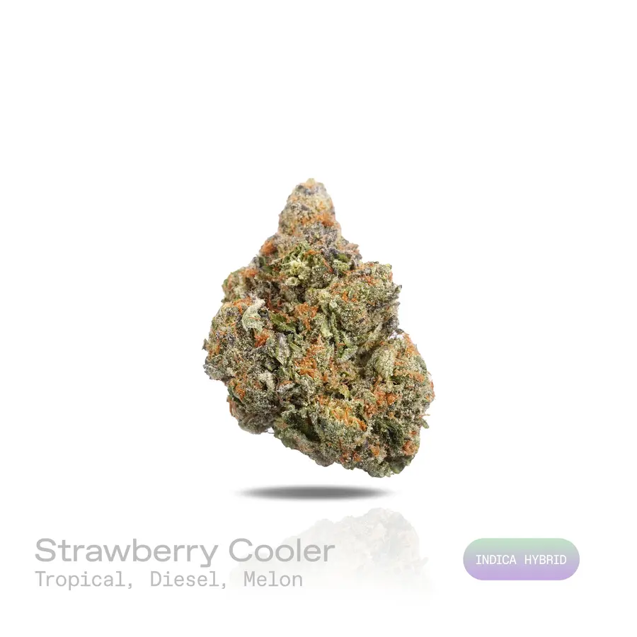 Strawberry Cooler THCa Flower (Exotic) (Indica Hybrid)