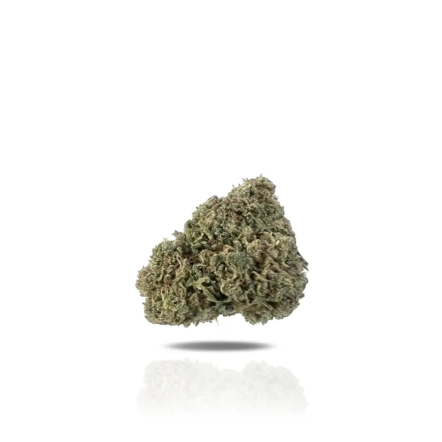 Stuntz THCa Flower (Indoor) (Indica Hybrid)