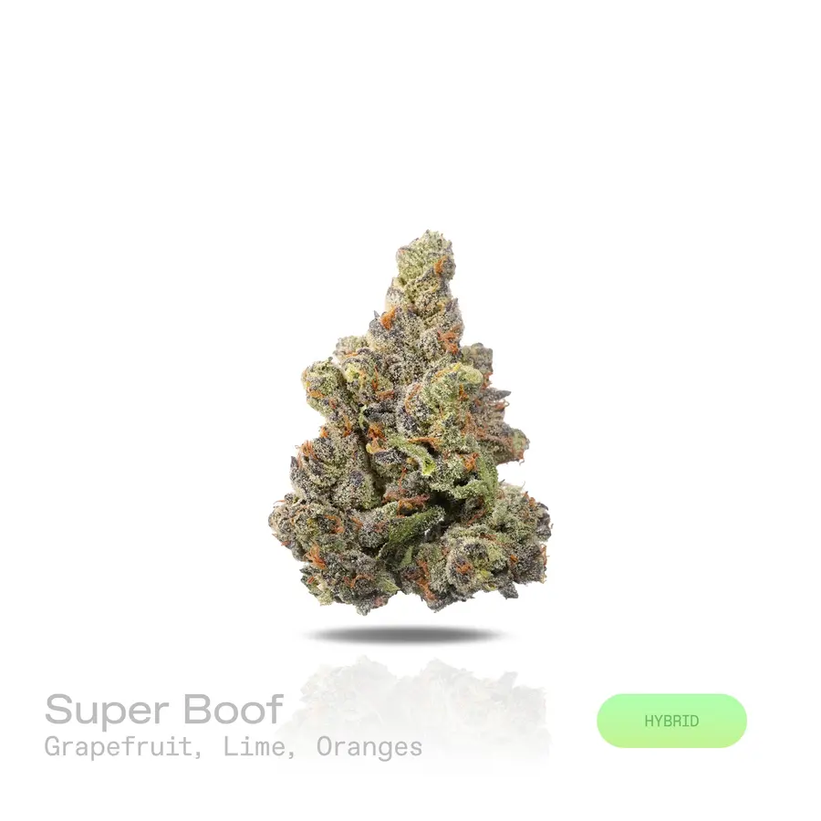 Super Boof THCa Flower (Premium Indoor) (Hybrid)