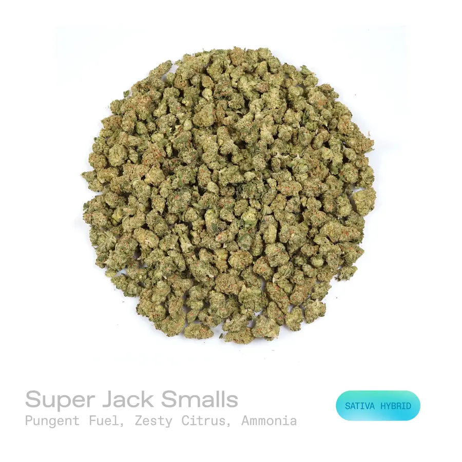 Super Jack THCa Flower (Exotic) (Sativa Hybrid)