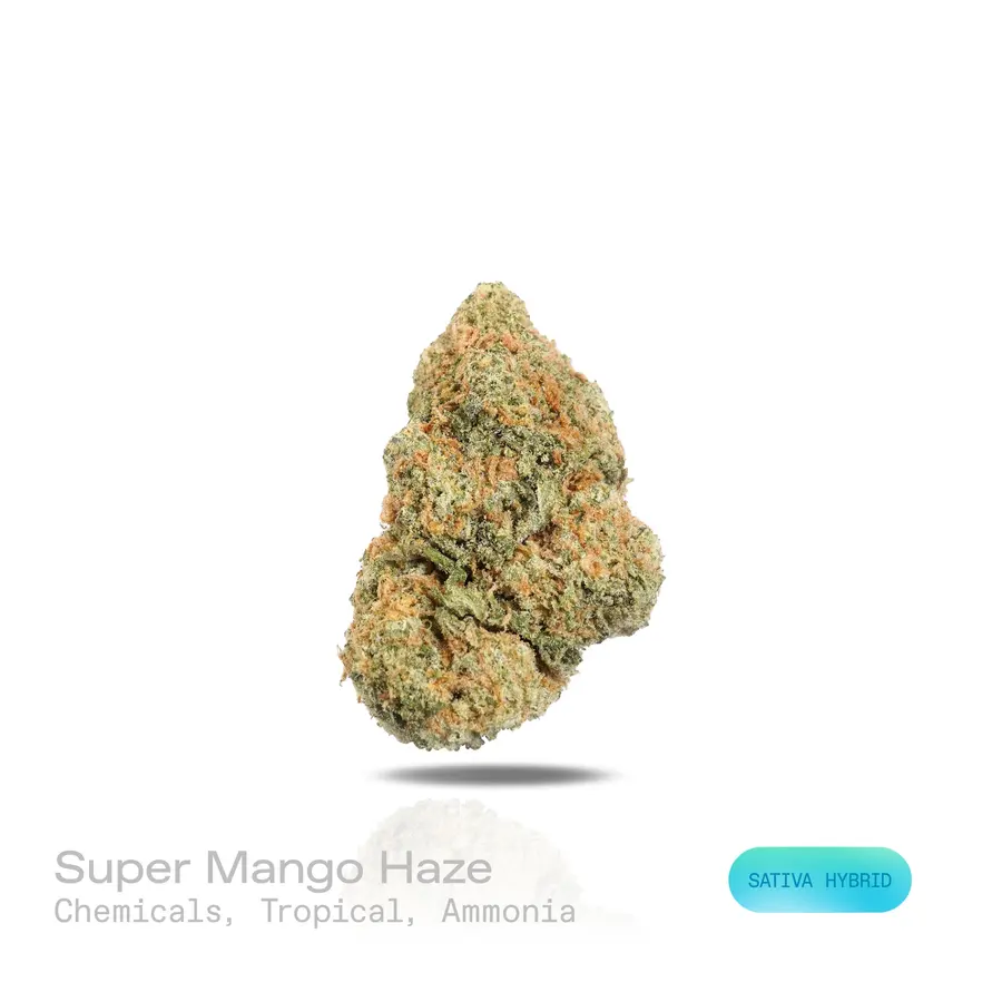 Super Mango Haze THCa Flower (Premium Indoor) (Sativa Hybrid)