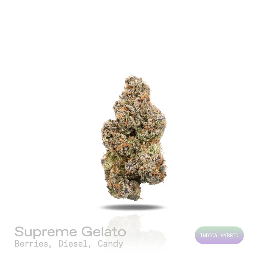 Supreme Gelato THCa Flower (Exotic) (Indica Hybrid)