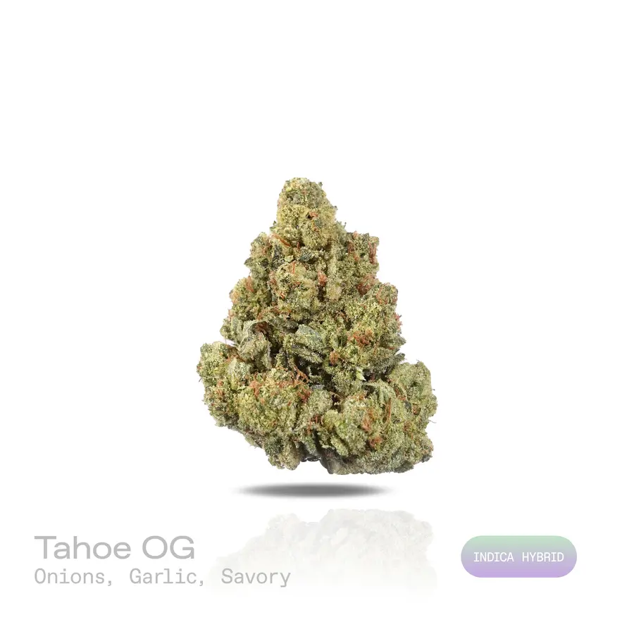 Tahoe OG THCa Flower (Indoor) (Indica Hybrid)
