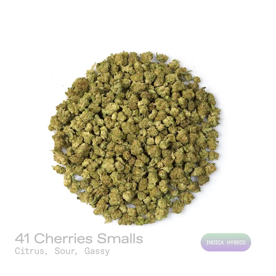 41 Cherries THCa Flower (Indoor) (Indica Hybrid)