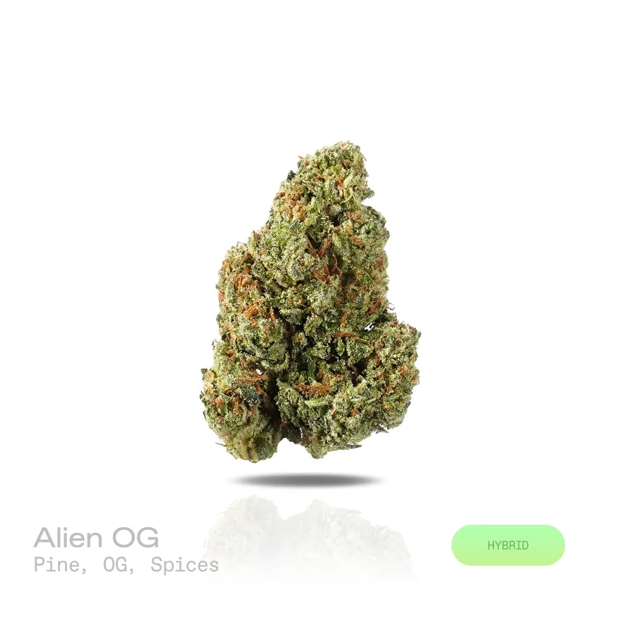 Alien OG THCa Flower (Indoor) (Hybrid)