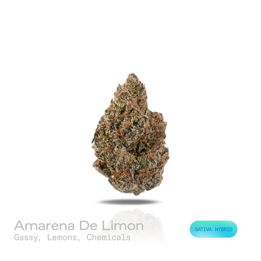 Amarena De Limon THCa Flower (Exotic) (Sativa Hybrid)