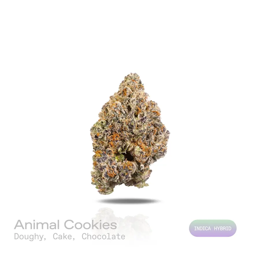 Animal Cookies THCa Flower (Exotic) (Indica Hybrid)