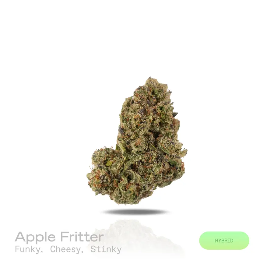 Apple Fritter THCa Flower (Indoor) (Hybrid)