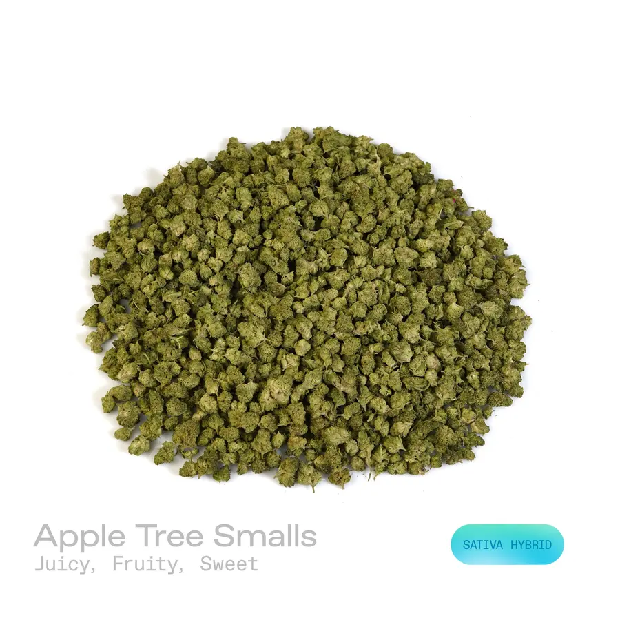 Apple Tree THCa Flower (Indoor) (Sativa Hybrid)
