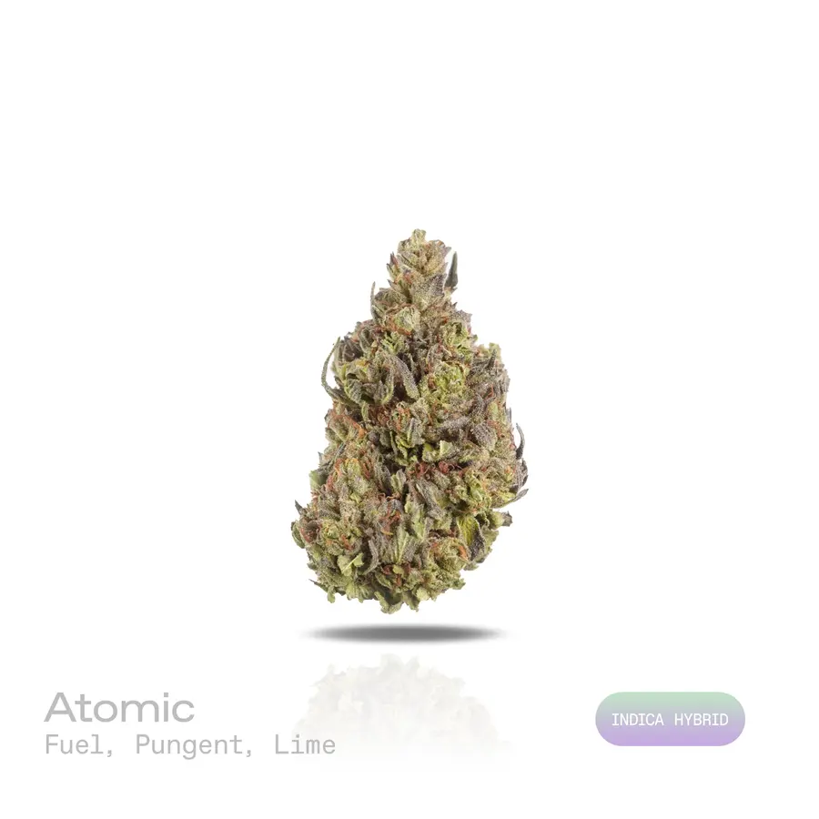Atomic THCa Flower (Indoor) (Indica Hybrid)