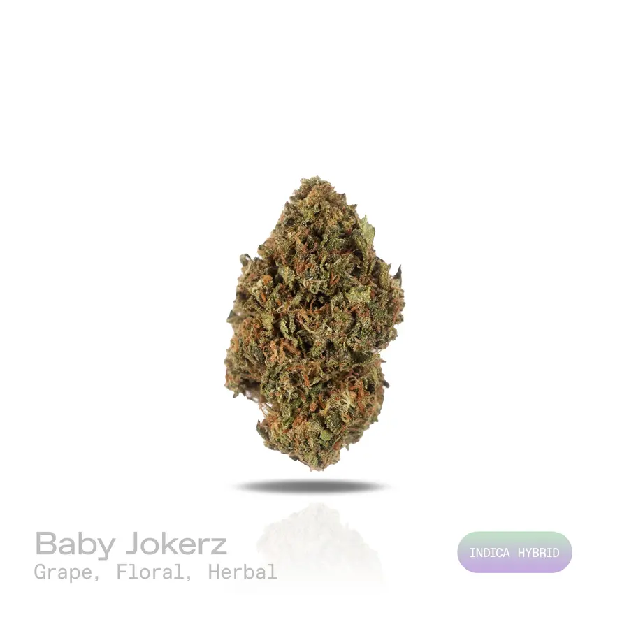 Baby Jokerz THCa Flower (Indoor) (Indica Hybrid)