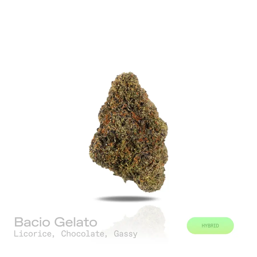 Bacio Gelato THCa Flower (Indoor) (Premium Hybrid)
