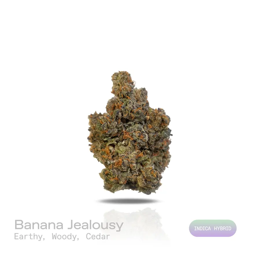 Banana Jealousy THCa Flower (Exotic) (Indica Hybrid)