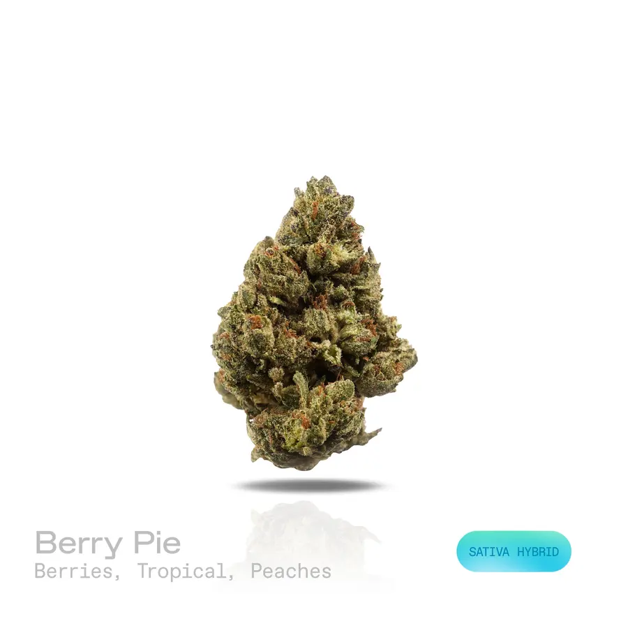 Berry Pie THCa Flower (Indoor) (Sativa Hybrid)