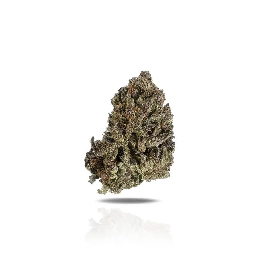 Black Cherry Soda THCa Flower (Indoor) (Sativa Hybrid)