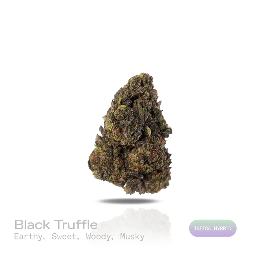 Black Truffle THCa Flower (Indoor) (Indica Hybrid)
