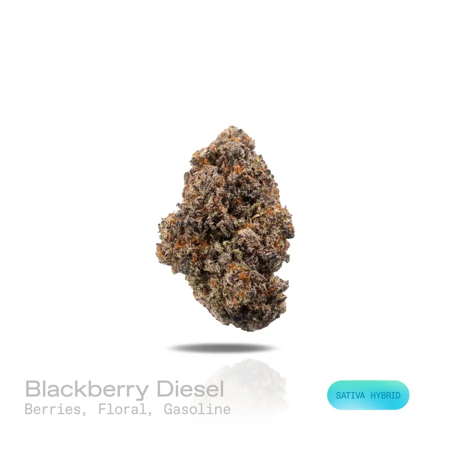 Blackberry Diesel THCa Flower (Exotic) (Sativa Hybrid)