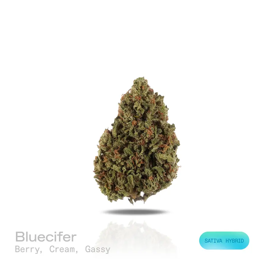 Blucifer THCa Flower (Indoor) (Sativa Hybrid)