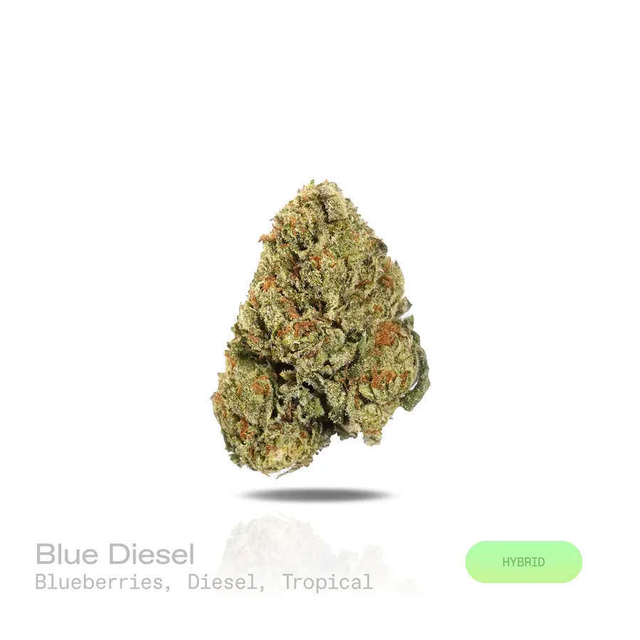 Blue Diesel THCa Flower (Indoor) (Hybrid)