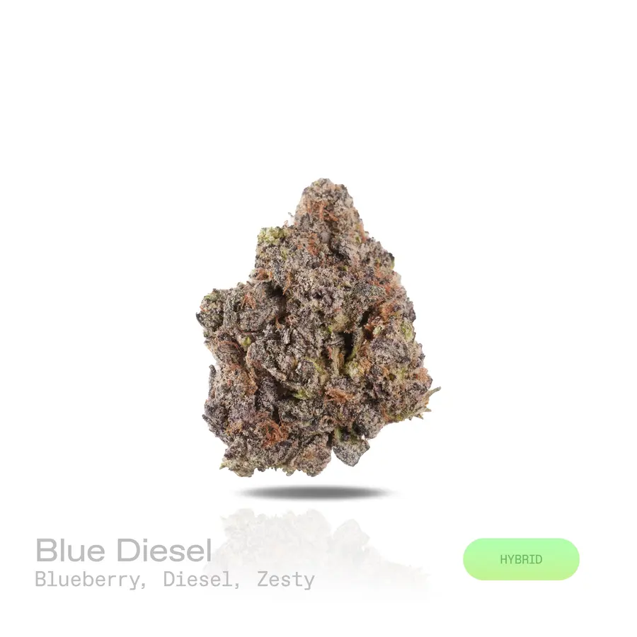 Blue Diesel THCa Flower (Premium Indoor) (Hybrid)