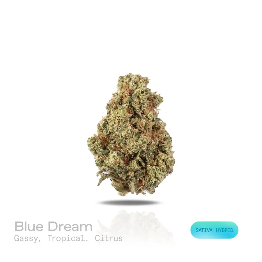 Blue Dream THCa Flower (Exotic)(Sativa Hybrid)