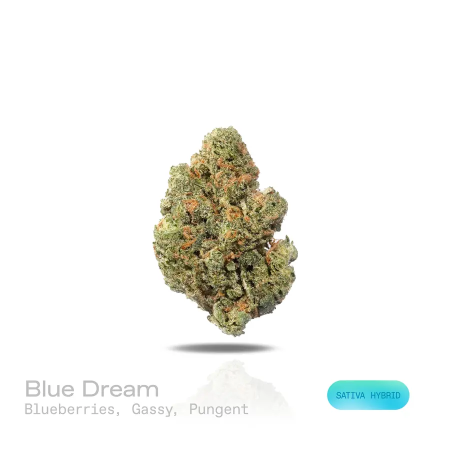 Blue Dream THCa Flower (Premium Indoor) (Sativa Hybrid)