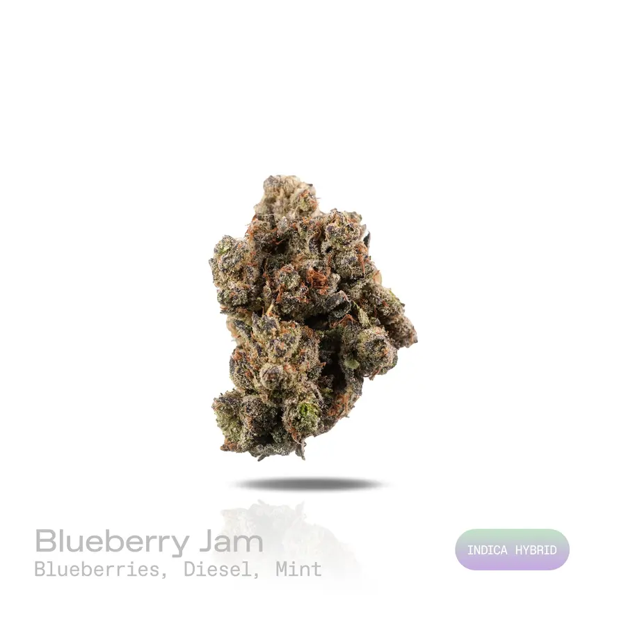 Blueberry Jam THCa Flower (Exotic) (Indica Hybrid)