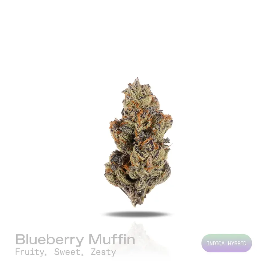 Blueberry Muffin THCa Flower (Exotic) (Indica Hybrid)