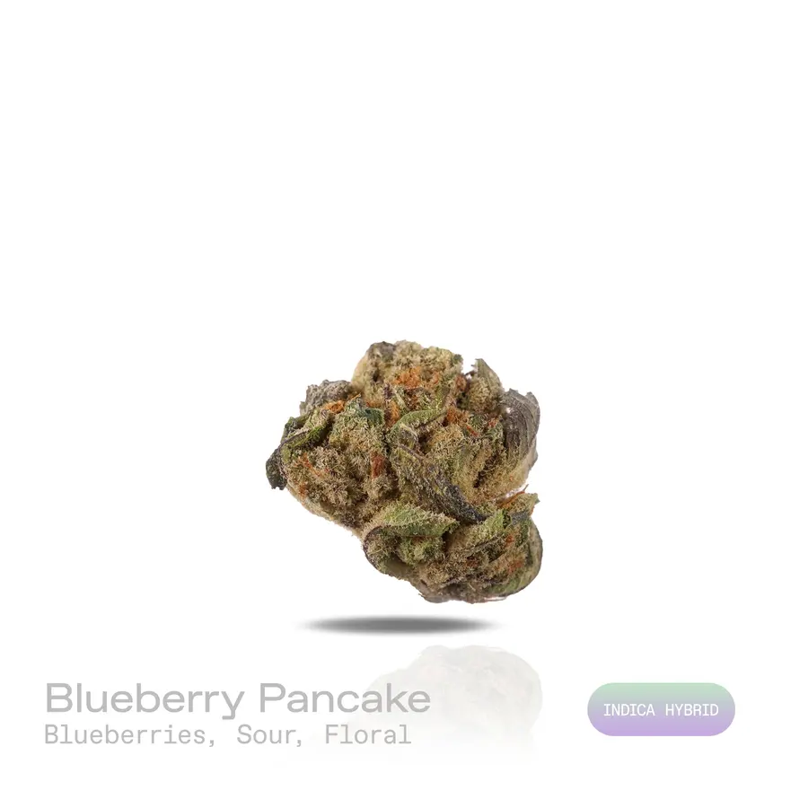 Blueberry Pancake THCa Flower (Indoor) (Indica Hybrid)