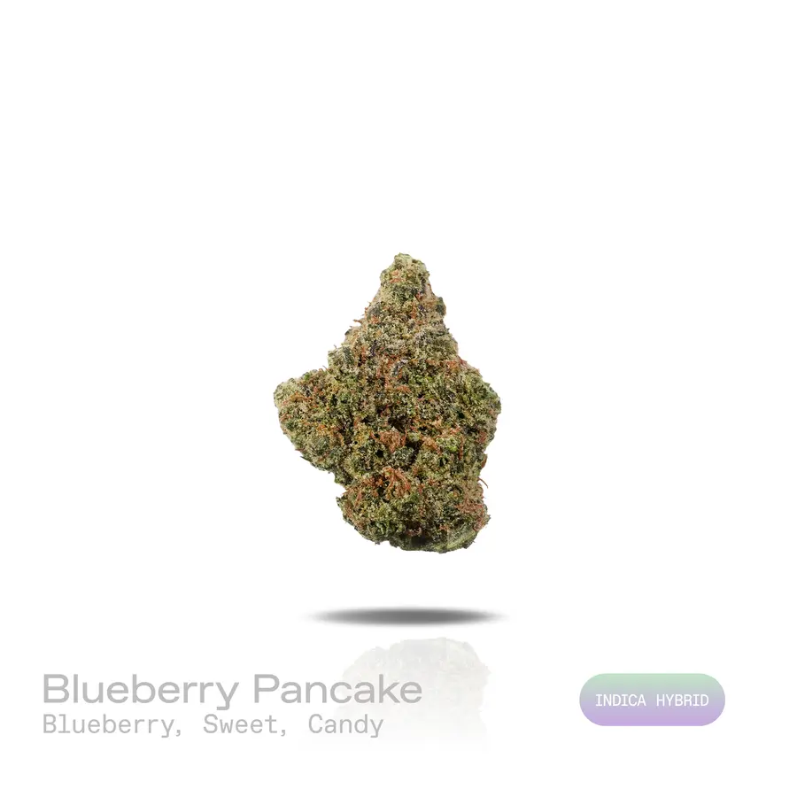 Blueberry Pancake THCa Flower (Premium Indoor) (Indica Hybrid)