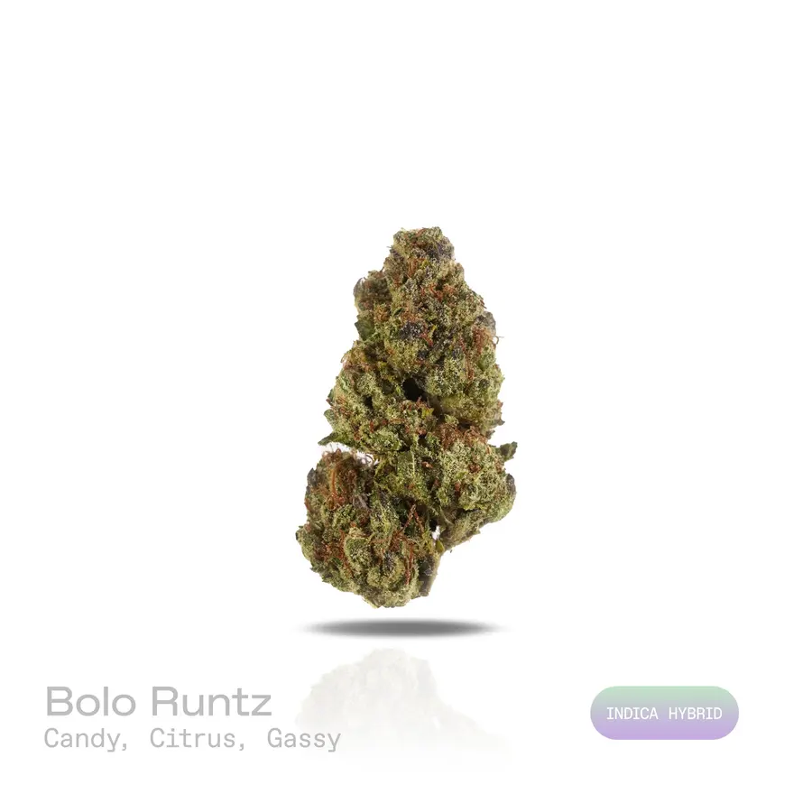 Bolo Runtz THCa Flower (Indoor) (Indica Hybrid)