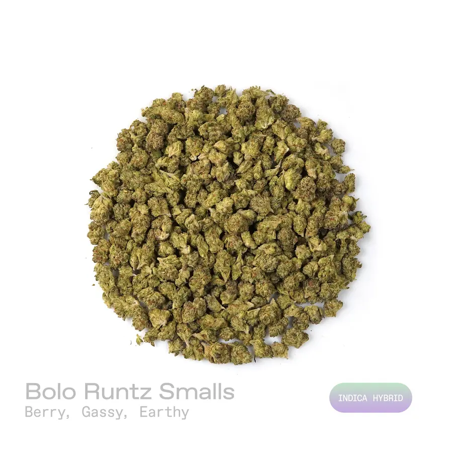 Bolo Runtz THCa Flower (Indoor) (Indica Hybrid)