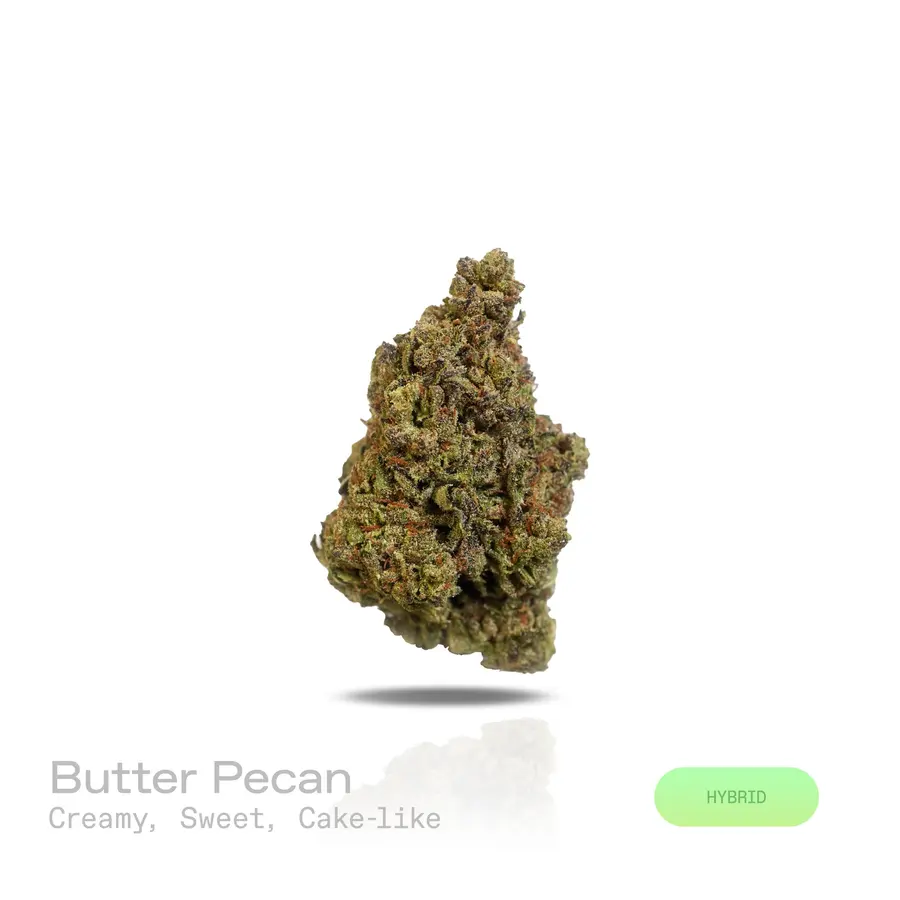 Butter Pecan THCa Flower (Indoor) (Hybrid)