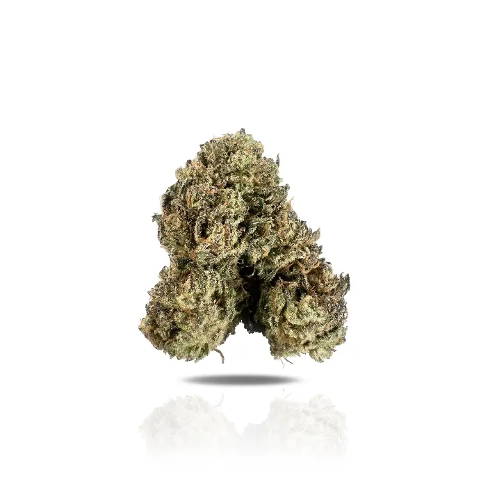 California Octane THCa Flower (Indoor) (Indica Hybrid)
