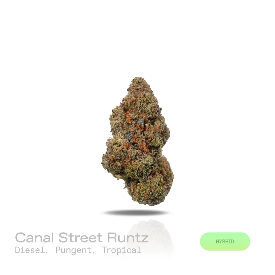 Canal Street Runtz THCa Flower (Exotic) (Hybrid)